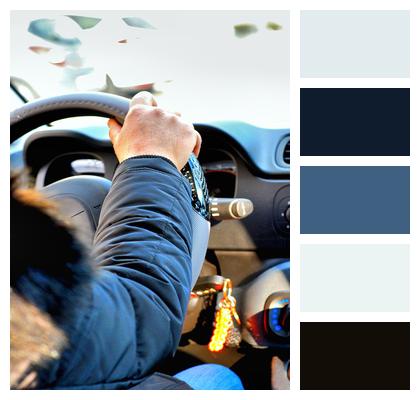 Car Steering Wheel Driver Image